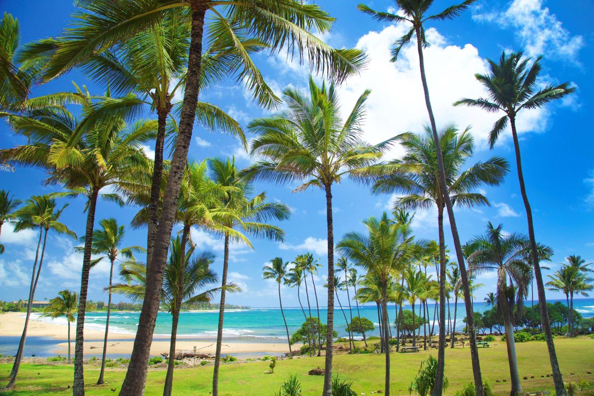 Hilton Garden Kauai Wailua Bay, Hi Hotel 3*